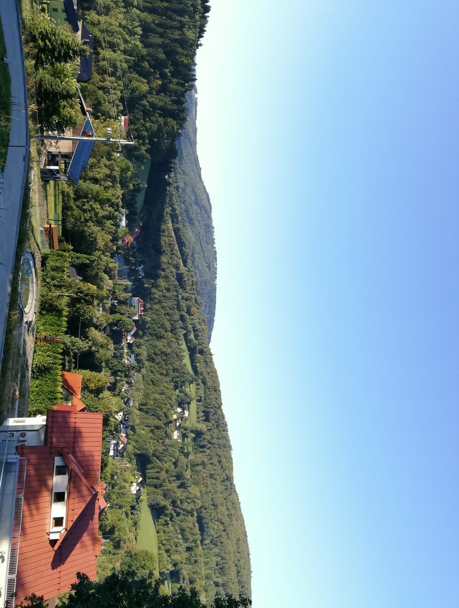 IMG_20210911_072518.jpg