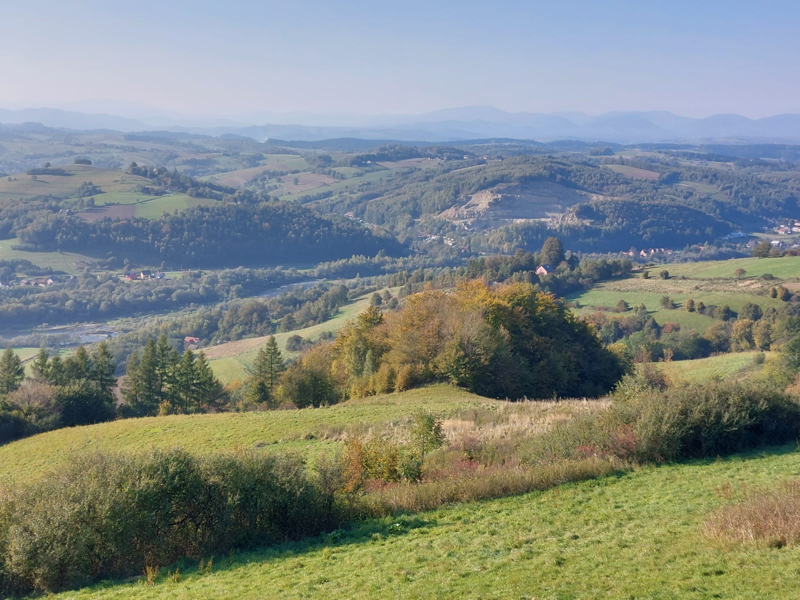 IMG-20211009-WA0040.jpg