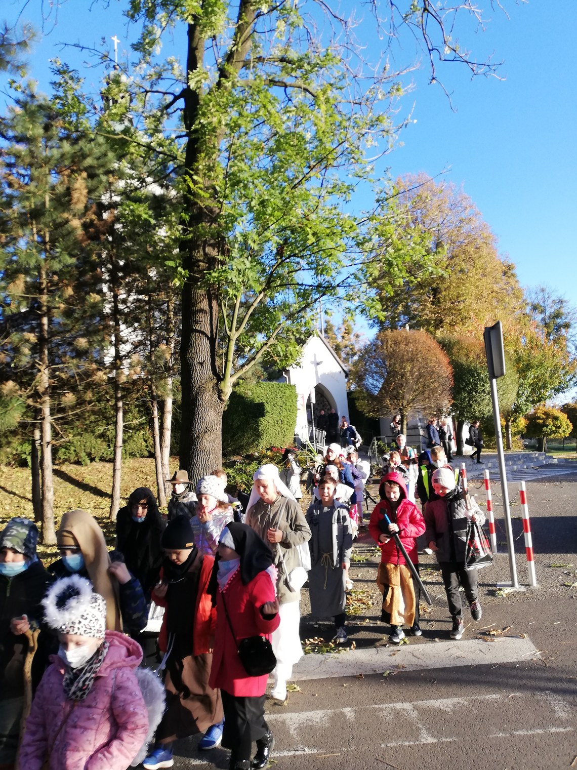 IMG_20211025_162244.jpg