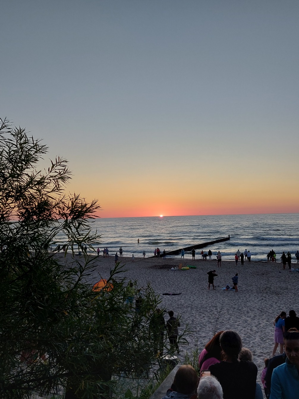 20220628_213431.jpg